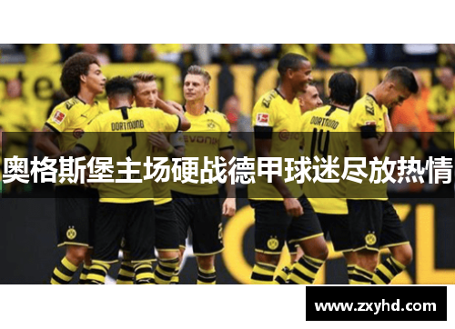 奥格斯堡主场硬战德甲球迷尽放热情